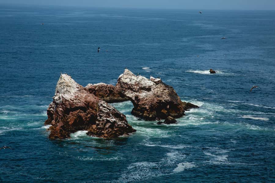 Paracas: Ballestas Islands and Candelabra of Paracas Boat - Should you book? My honest take
