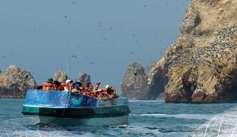 Paracas: Ballestas Islands and Candelabra of Paracas Boat - Logistics and value: the $25-per-person tradeoff