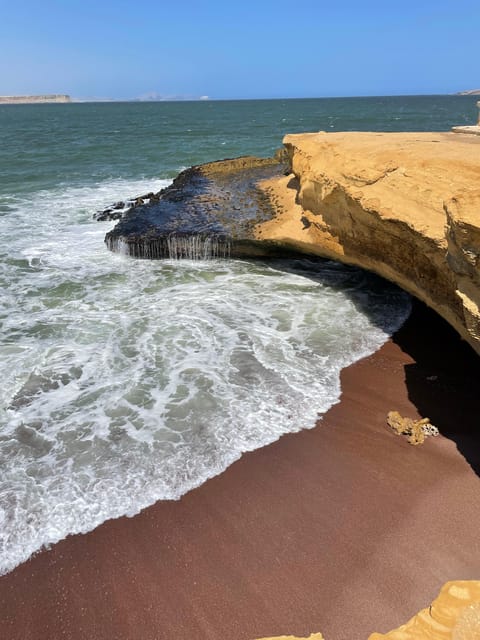 PARACAS: BALLESTAS ISLANDS AND NATIONAL RESERVE - Wildlife on the Water: Penguins, Guano Birds, Sea Lions, Dolphins