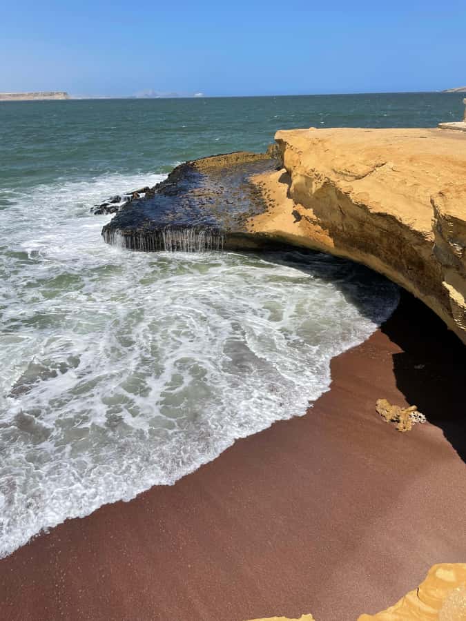PARACAS: BALLESTAS ISLANDS AND NATIONAL RESERVE - Paracas National Reserve by Tourist Bus (11:00 to 3:00)