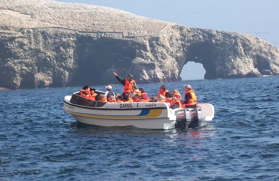 Paracas: Ballestas Islands and Paracas Reserve Tour - Key tour takeaways