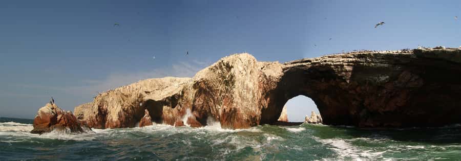 Paracas: Ballestas Islands and Paracas Reserve Tour - From Paracas pickup to the pier: a tight 5-hour flow