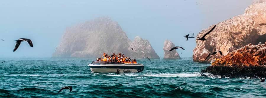 Paracas: Ballestas Islands and Paracas Reserve Tour - The Candelabro geoglyph stop: a mystery you can see fast