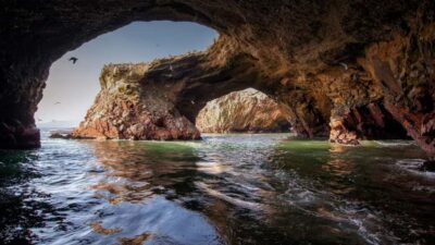 Paracas: Ballestas Islands and Paracas Reserve Tour - Ballestas Islands by speedboat: what you actually get on the water