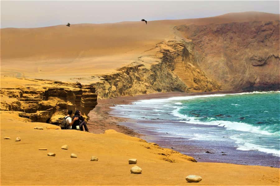 Paracas: Ballestas Islands and Paracas Reserve Tour - Price and logistics: why $37 can be a fair deal