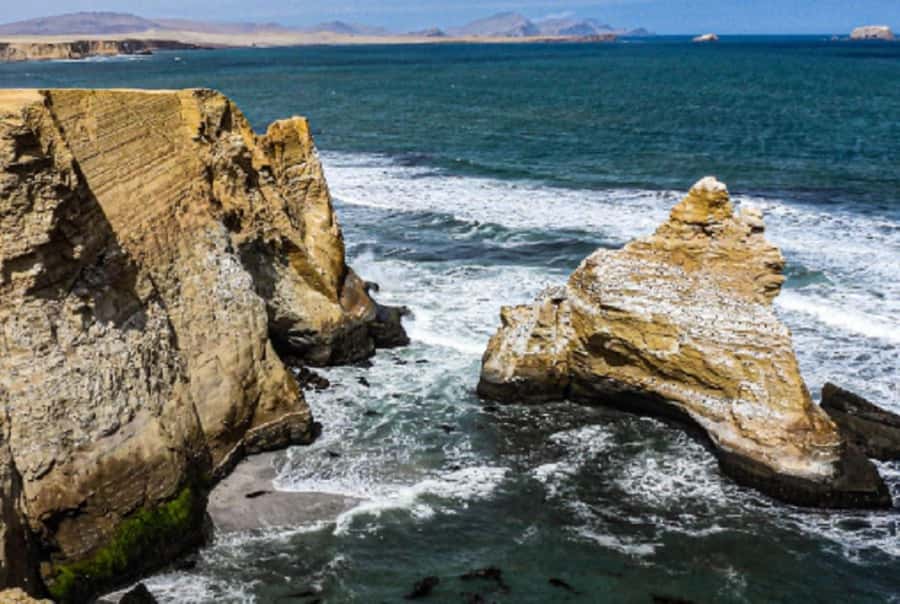 Paracas: Ballestas Islands and Paracas Reserve Tour - Common snags to plan for: bathrooms, weather, and guide clarity