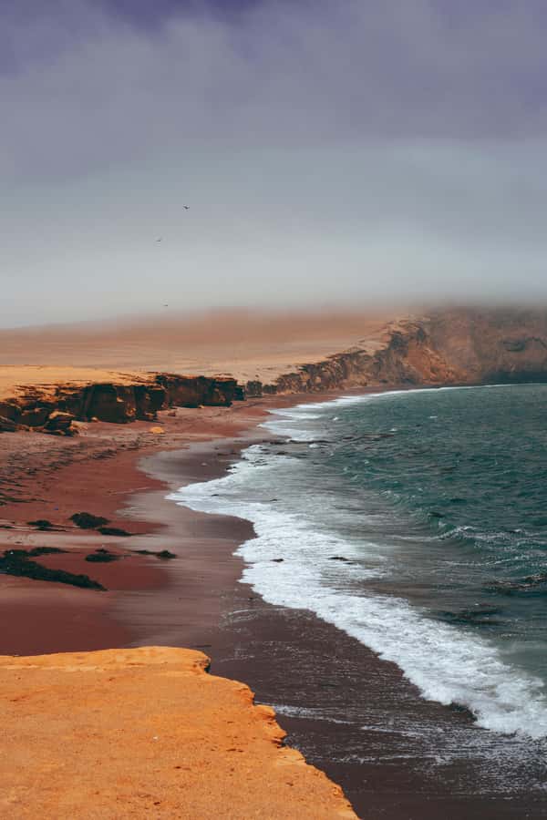 Paracas: Ballestas Islands Boat tour - Islas Ballestas - Key things to know before you go
