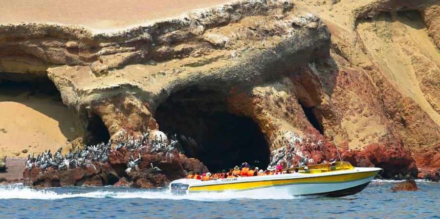 Paracas: Ballestas Islands Boat tour - Islas Ballestas - The Candelabro sighting en route: Nazca vibes from the water
