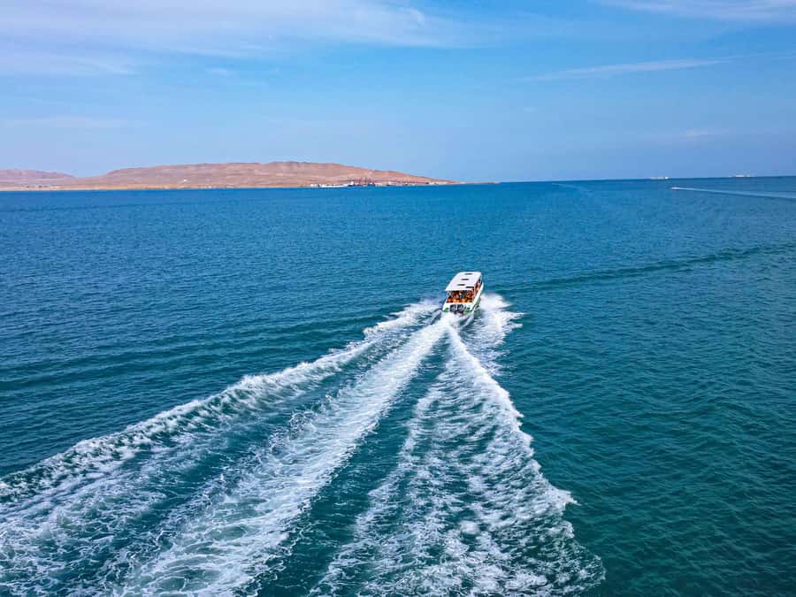 Paracas: Ballestas Islands Guided Boat Tour - Ballestas Islands in 2 Hours: What This Trip Delivers