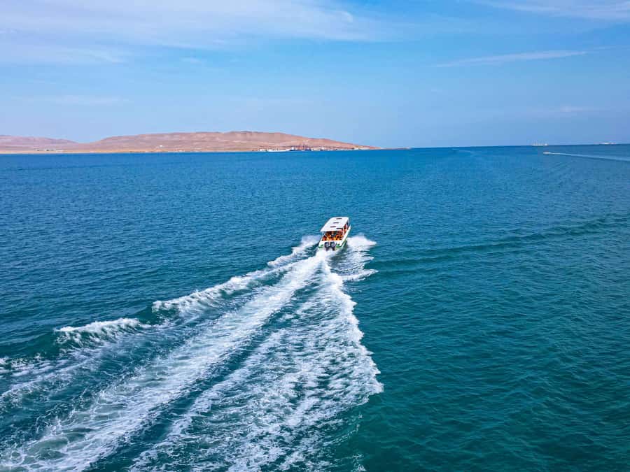 Paracas: Ballestas Islands Guided Boat Tour - Ballestas Islands Wildlife: Sea Lions, Seabirds, and Humboldt Penguins