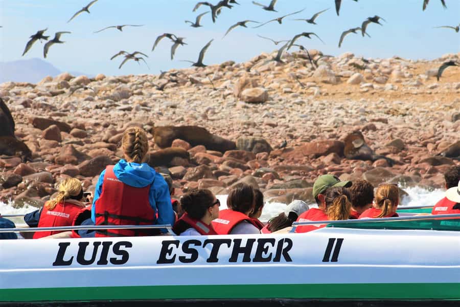 Paracas: Ballestas Islands Guided Boat Tour - Timing in Your Paracas Day: How to Pair It