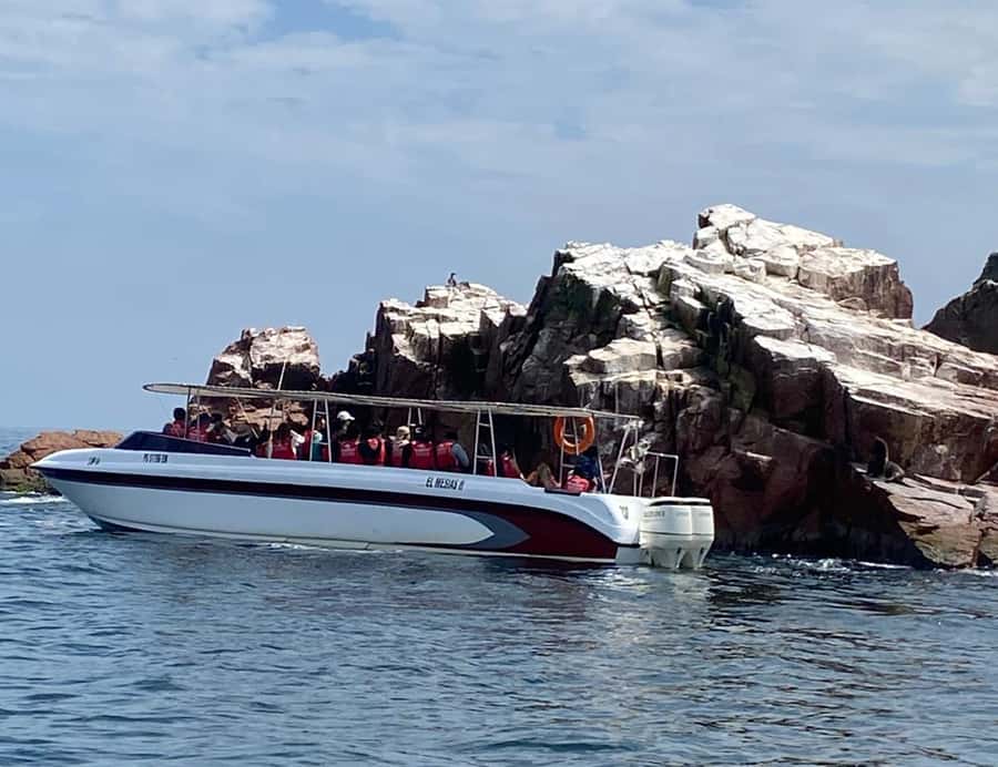 Paracas: Ballestas Islands Morning Boat Tour - Ballestas Islands: penguins, sea lions, and nonstop bird spotting