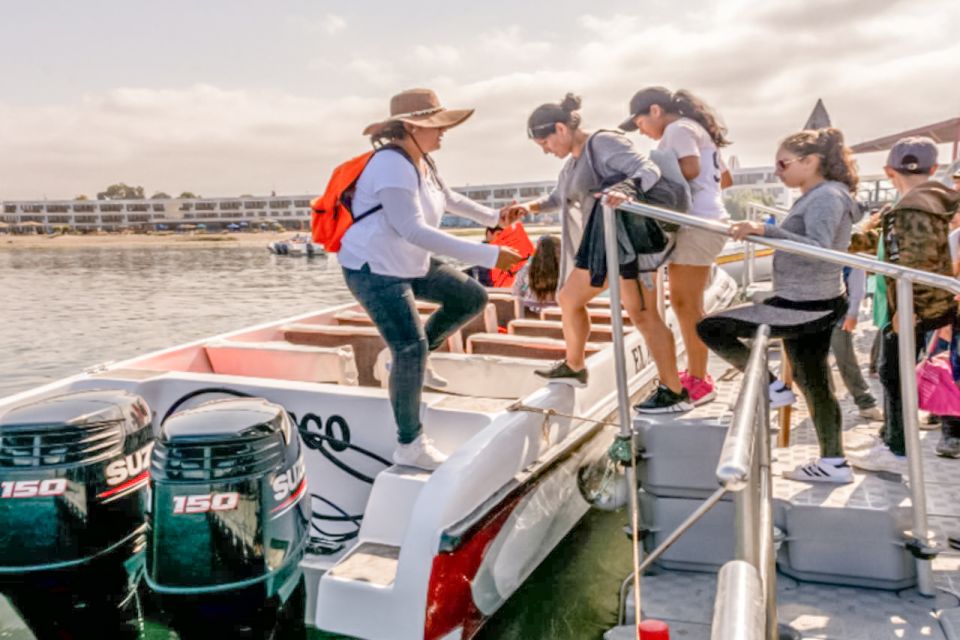 Paracas: Ballestas Islands Morning Boat Tour - Where to sit for better views (and fewer regrets)