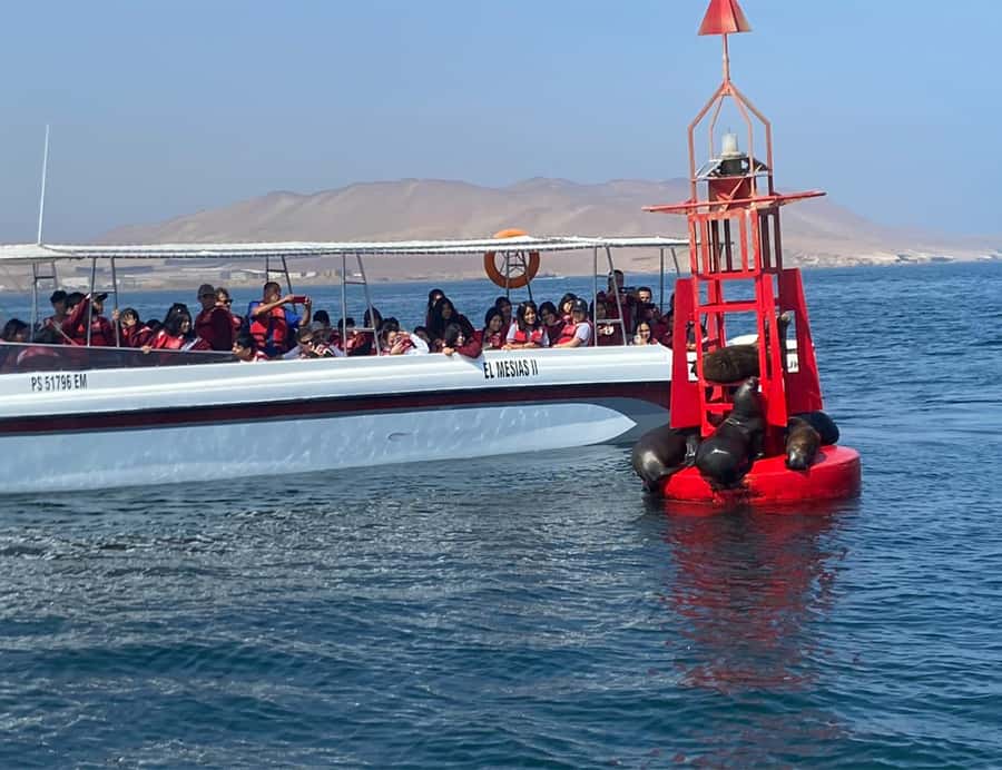 Paracas: Ballestas Islands Morning Boat Tour - Price and value: why this feels like a smart buy at $17