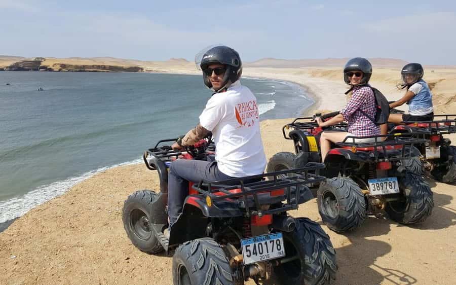 Paracas: Drive ATV and Buggy in Paracas Reserve - Key highlights that make this tour worth your time