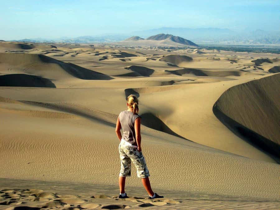 Paracas or Pisco: Private Huacachina Oasis Tour & Buggy Ride - Ica Vineyard Stop: How Pisco and Wine Fit Into the Trip