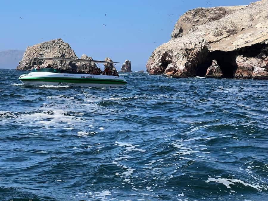 Paracas: speedboat BALLESTAS ISLANDS TOUR - Key things to know before you go