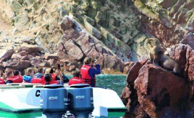 Paracas: speedboat BALLESTAS ISLANDS TOUR - The 2-hour speedboat rhythm: good views, tight timing