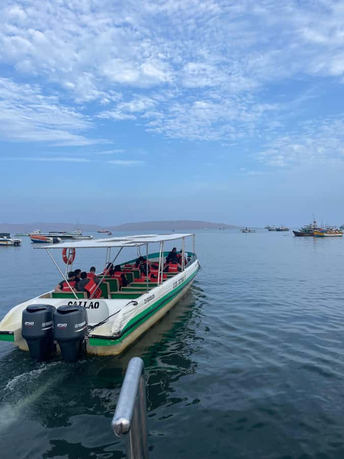 Paracas: speedboat BALLESTAS ISLANDS TOUR - Who this Ballestas speedboat tour suits best