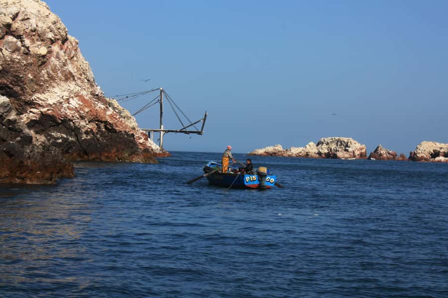 Paracas: speedboat BALLESTAS ISLANDS TOUR - Should you book the Paracas Ballestas speedboat tour?