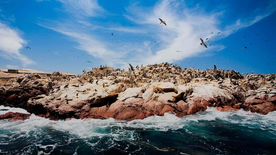 PARACAS|| Sunset trekking in the Paracas National Reserve - Paracas at sunset: what makes this walk worth your time