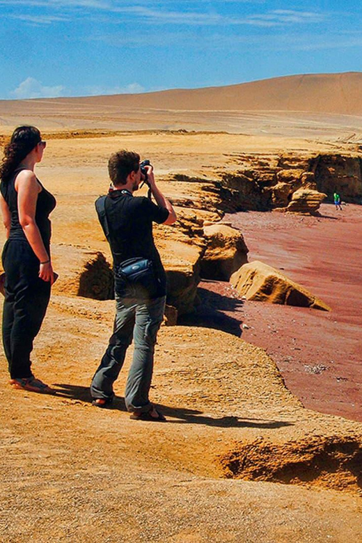PARACAS|| Sunset trekking in the Paracas National Reserve - Should you book this Paracas sunset trekking tour?