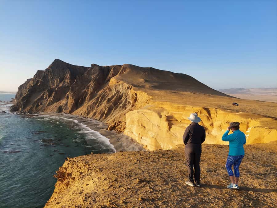 Paracas:Private Tours Paracas National Reserve all inclusive - Key highlights you’ll feel right away