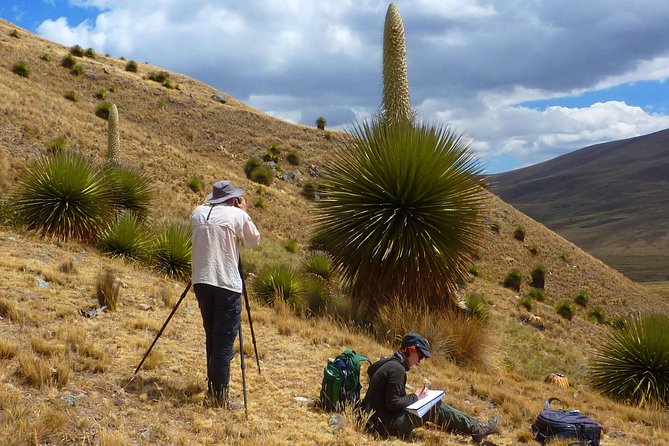 Pastoruri Glacier - Pastoruri Glacier and Huascarán National Park: what you’ll actually see