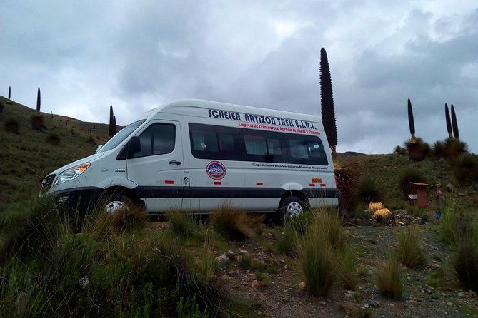 Pastoruri Glacier - The drive from Huaraz: Recuay, Ticapampa, Catac, and plant stops