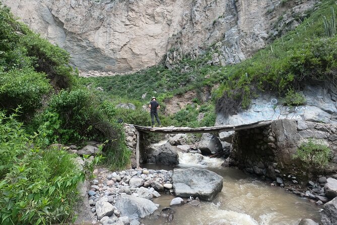 Private 3 Day Colca Canyon Trekking tour (superior Service) - Oasis Sangalle afternoon: pool time, Colca sour, and slowing down