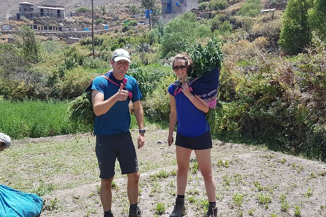 Private 3 Day Colca Canyon Trekking tour (superior Service) - Cruz del Condor at around 8:00am: the condor watch window