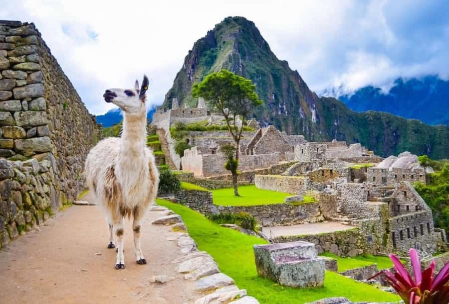 Private Guide in Machu Picchu for 3 Hours - The real value of a $99 private guide (and what you still must budget)