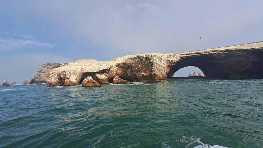 Private Tour: Ballestas Island & Huacachina Oasis, from Lima - Ica’s vineyards and Pisco: a regional taste you can connect to