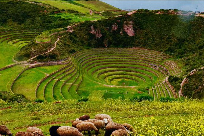 Private Tour Sacred Valley, Chinchero, Maras Moray, Ollantaytambo - Ollantaytambo: Ruins Plus the Train Terminal Reality