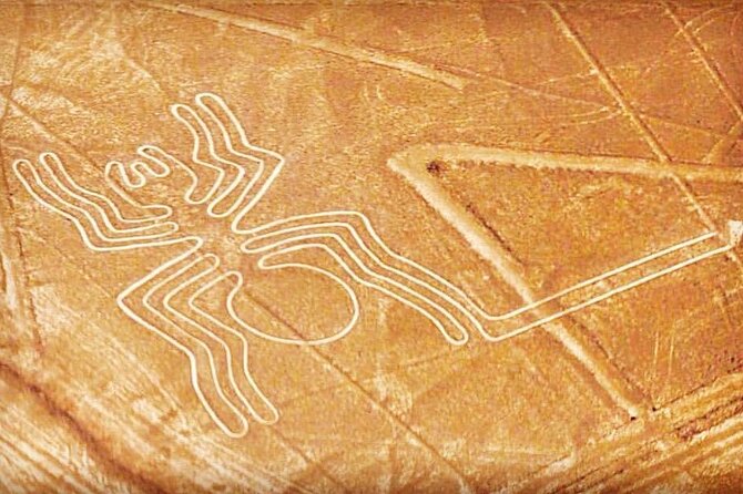 Private Tour to the Astonished Nazca Lines and Huacachina Oasis - Nazca Lines by Small Plane: Seeing Geoglyphs From the Best Angle