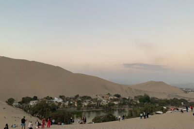 Private Tour to the Astonished Nazca Lines and Huacachina Oasis - Pisco and Wine at the Vineyard Stop in Ica