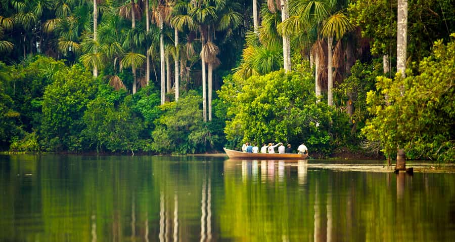 Puerto Maldonado: 2-Day Peruvian Tambopata Jungle Trip - Key highlights you should care about