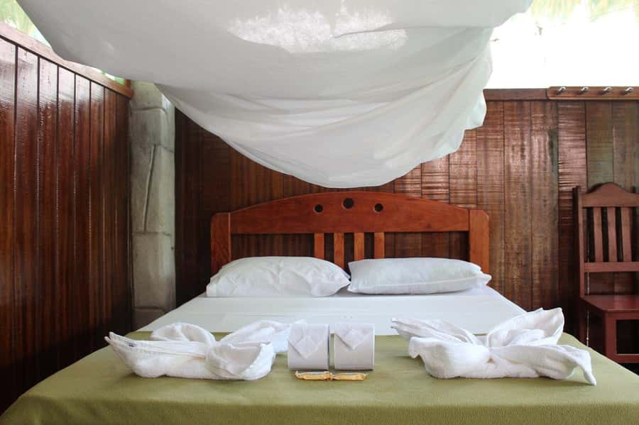 Puerto Maldonado: 2-Day Peruvian Tambopata Jungle Trip - Price and logistics: is $280 a good deal for what you get?