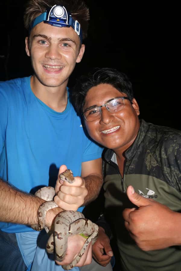 Puerto Maldonado: Jungle Night Tour with Sloths & Tarantulas - Night Walking in Tambopata: Why This Feels Different