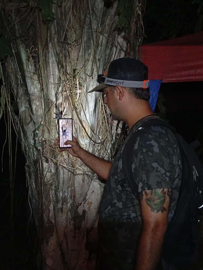 Puerto Maldonado: Jungle Night Tour with Sloths & Tarantulas - From Puerto Maldonado to Tambopata National Reserve