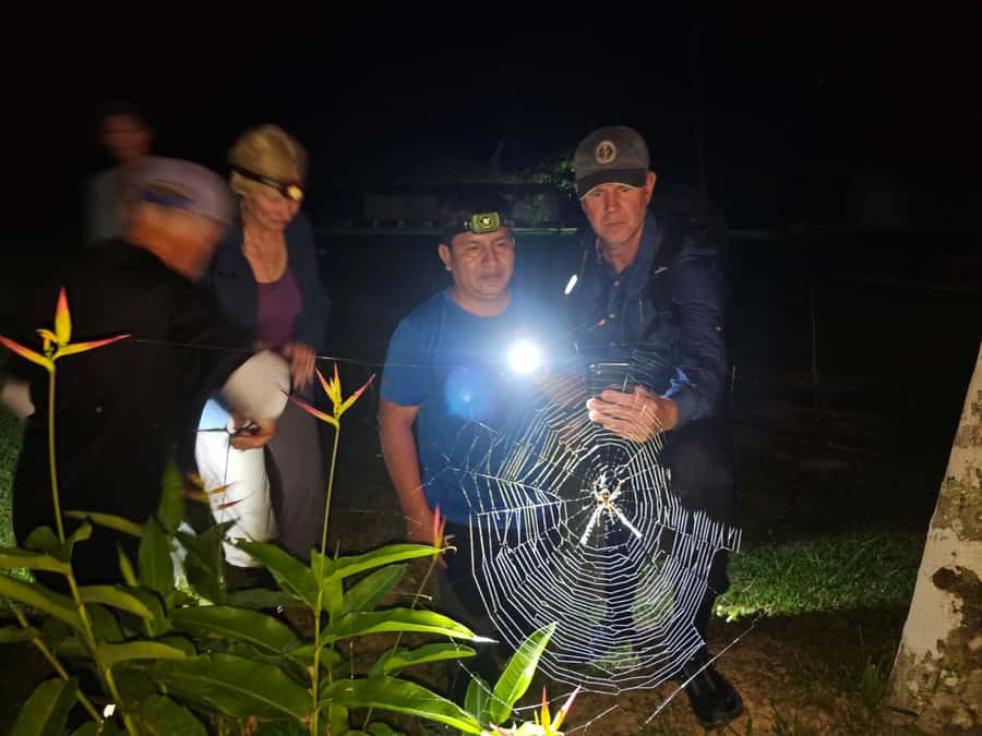 Puerto Maldonado: Jungle Night Tour with Sloths & Tarantulas - Tarantulas, Sloths, and the Other Nightlife You Might See