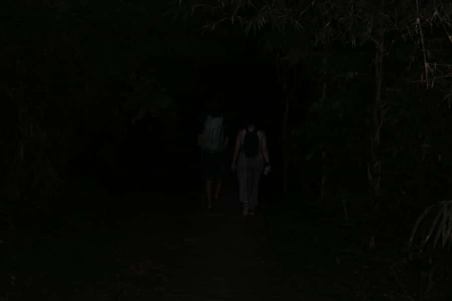 Puerto Maldonado: Jungle Night Tour with Sloths & Tarantulas - Stop by Stop: What You’ll Do During the Two Hours