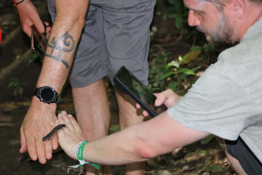 Puerto Maldonado: Jungle Night Tour with Sloths & Tarantulas - Price and Value: Is $45 Fair for a Night Search?