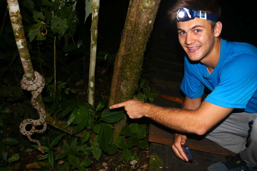 Puerto Maldonado: Jungle Night Tour with Sloths & Tarantulas - What the Guide Does at Night (and Why It Changes Your Odds)