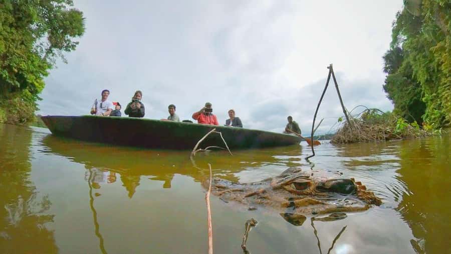 Puerto Maldonado: Lago Sandoval Day Trip with Lunch - Key highlights worth planning for