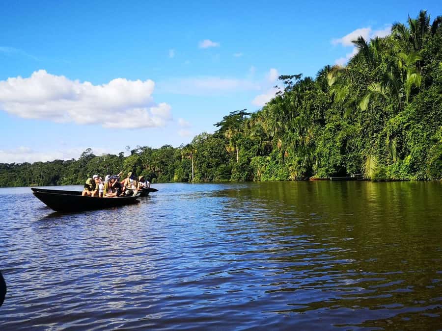 Puerto Maldonado: Lago Sandoval Day Trip with Lunch - Setting out from Puerto Maldonado: the day starts on Av. Leon Velarde