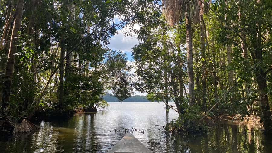 Puerto Maldonado: Sandoval Lake 4-Day, 3-Night Guided Tour - Key highlights you’ll care about most