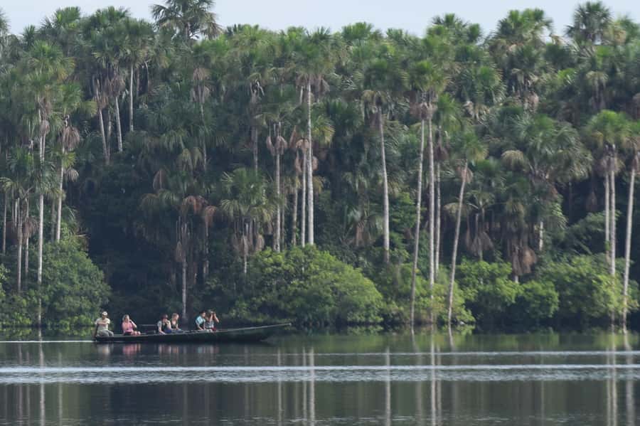 Puerto Maldonado: Sandoval Lake Full-Day Trip with Canoeing - Key highlights worth your attention