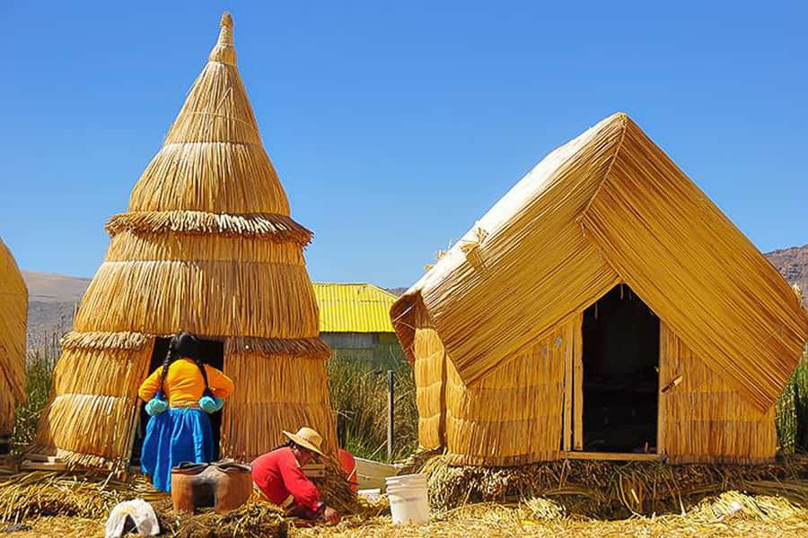 Puno: Lake Titicaca Day Tour - Morning start from Puno: getting on the water by 6–7AM