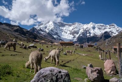 Rainbow Mountain Cusco tour - From Centro Histórico: The Drive, the Briefing, and the Pace